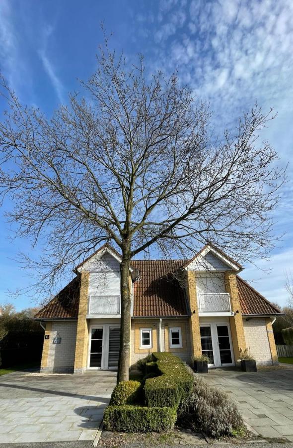 קמפרלנד Vakantiehuis Met Luxe Tuin Dichtbij Het Strand מראה חיצוני תמונה